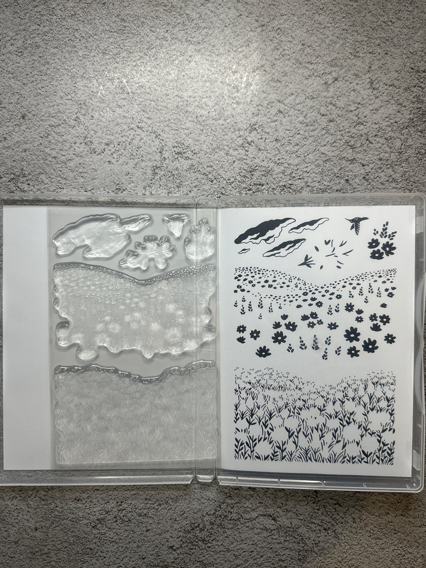 Fields in Bloom | Retired Photopolymer Stamp Set | Stampin' Up!