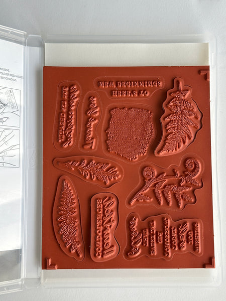 Wild Ferns Bundle | Retired Cling Mount Stamp Set and Dies | Stampin' Up!