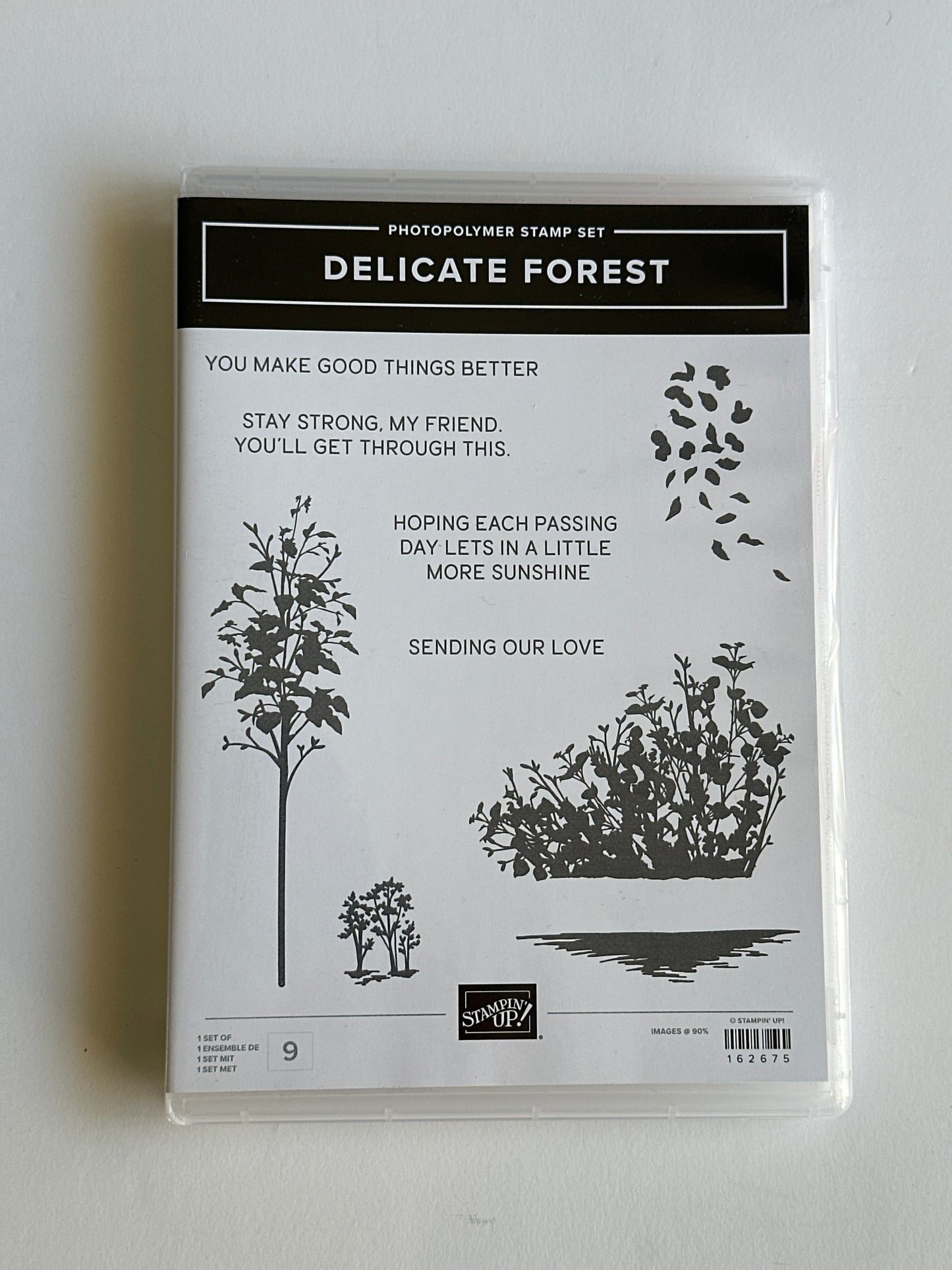 Delicate Forest Bundle | Retired Photopolymer Stamp Set and Dies | Stampin' Up!