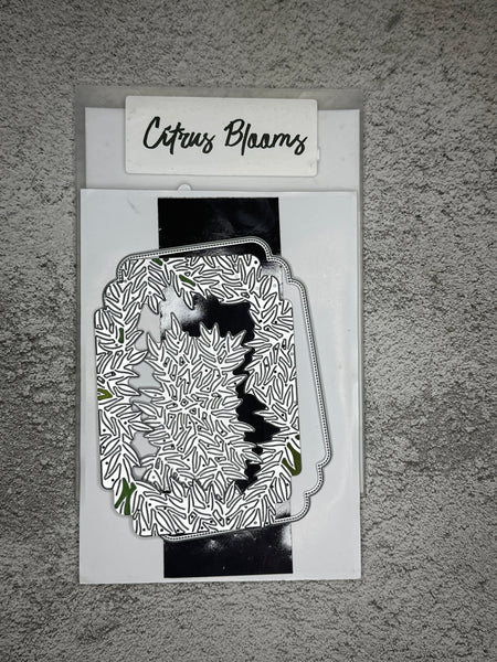 Citrus Blooms Bundle | Retired Cling Mount Stamp Set and Dies | Stampin' Up!