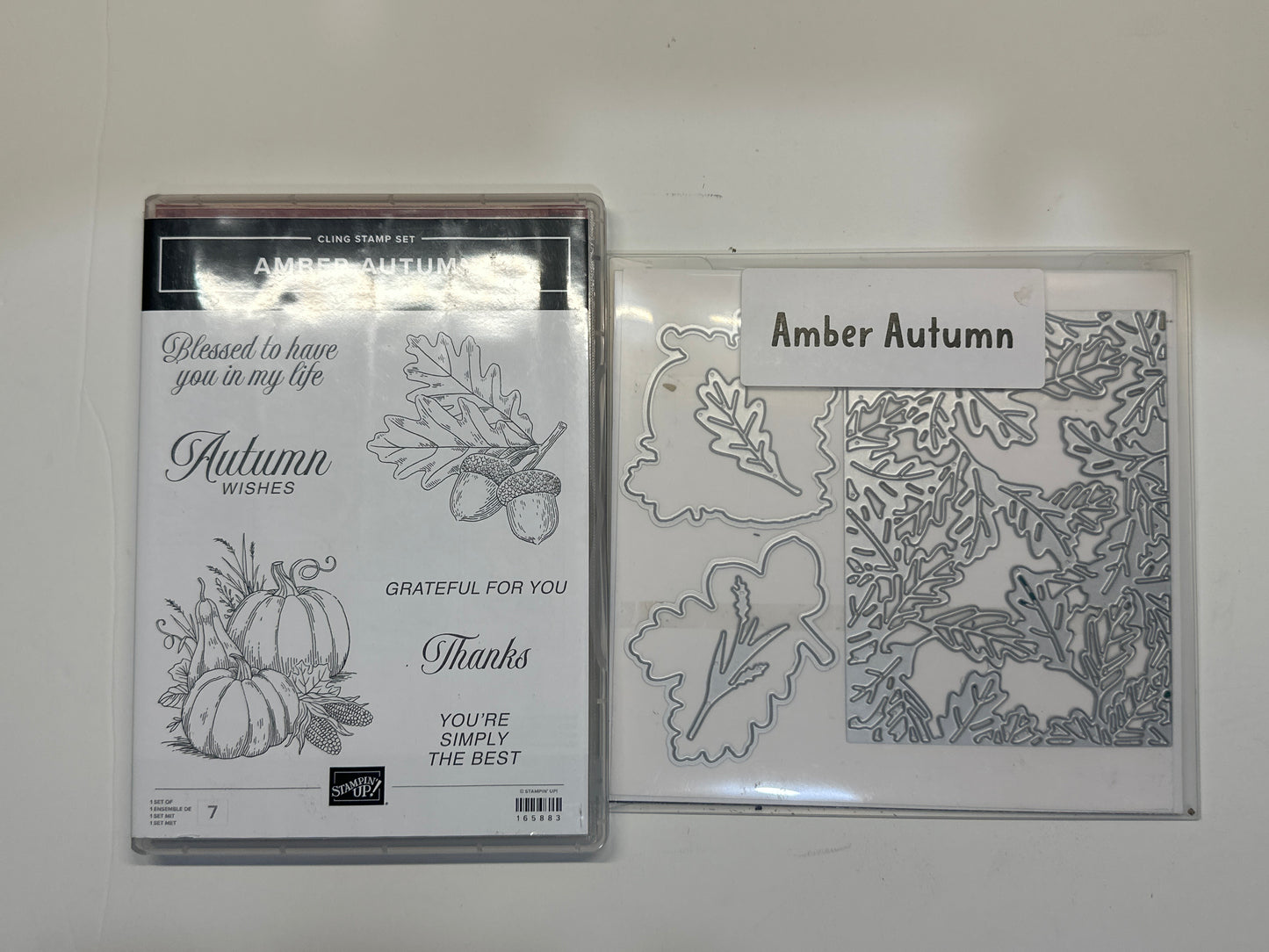 Amber Autumn Bundle | Retired Cling Mount Stamp Set and Dies | Stampin' Up!