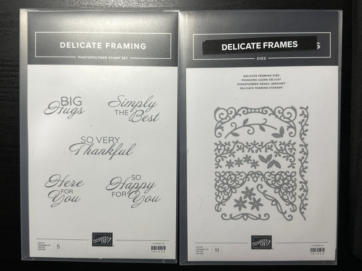 Delicate Framing Bundle | Retired Photopolymer Mount Stamp Set and Dies | Stampin' Up!