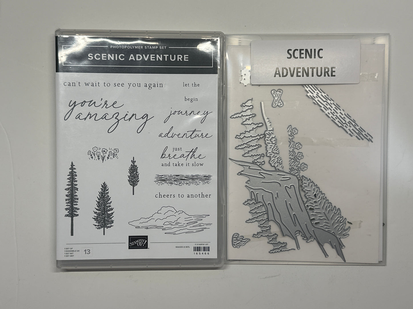 Scenic Adventures Bundle | Retired Photopolymer Mount Stamp Set and Dies | Stampin' Up!