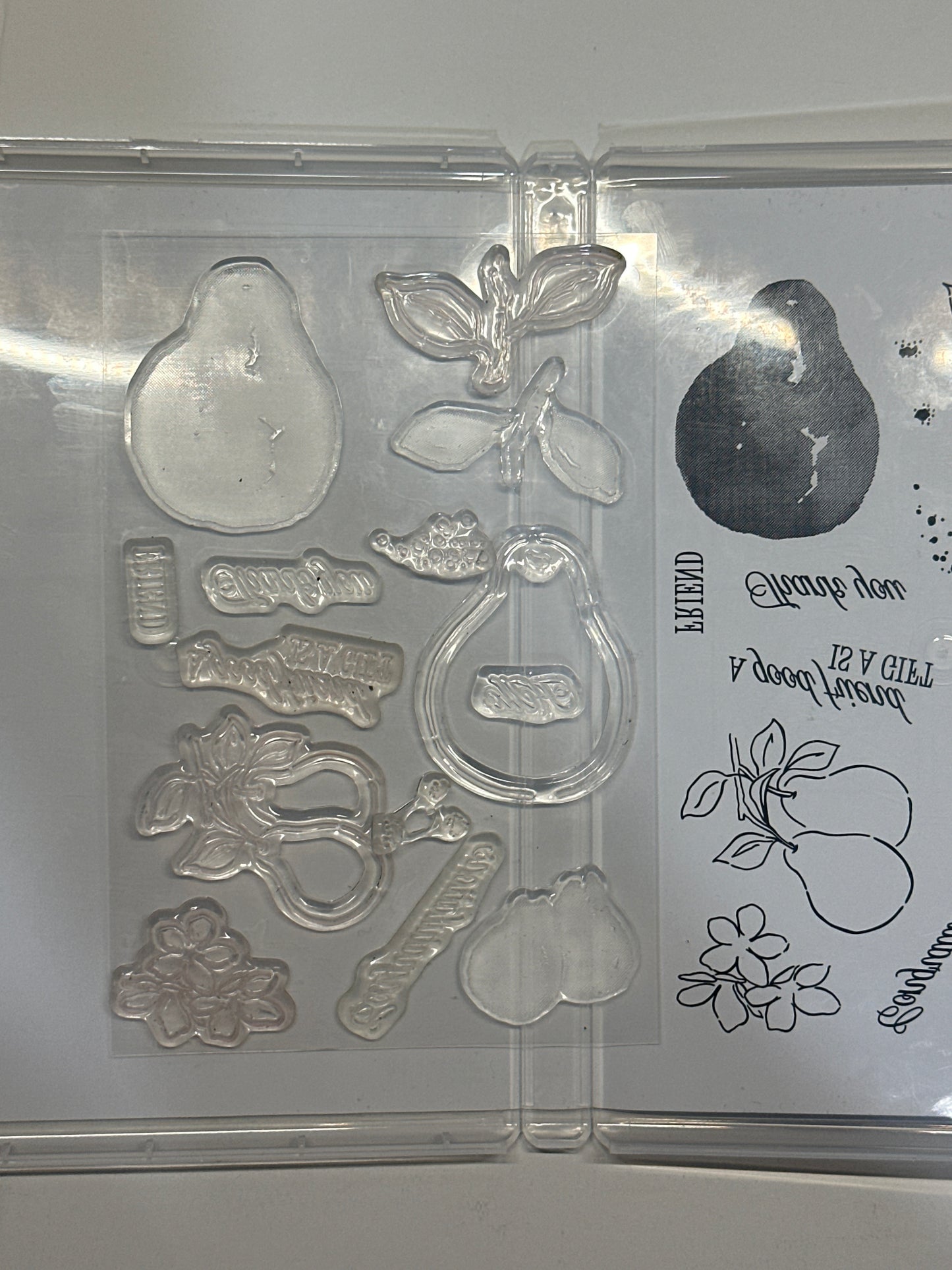 Perfectly Pears Bundle | Retired Photopolymer Mount Stamp Set and Dies | Stampin' Up!