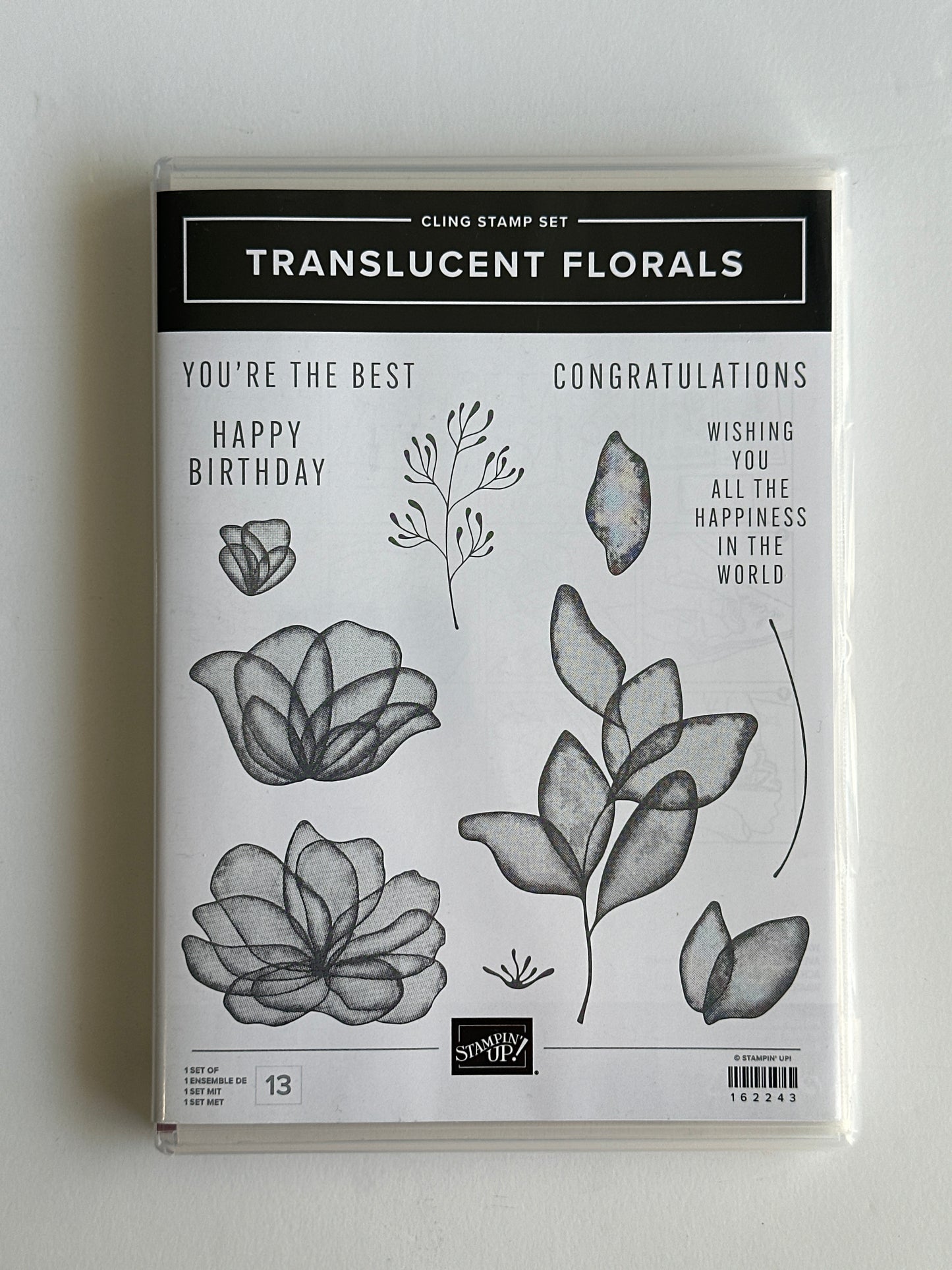 Translucent Florals Bundle | Retired Cling Mount Stamp Set and Dies | Stampin' Up!