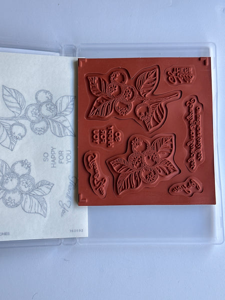 Blueberry Bunches | Retired Cling Mount Stamp Set | Stampin' Up!