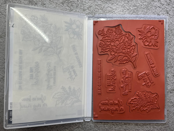 Memorable Blooms Bundle | Retired Photopolymer Mount Stamp Set and Dies | Stampin' Up!