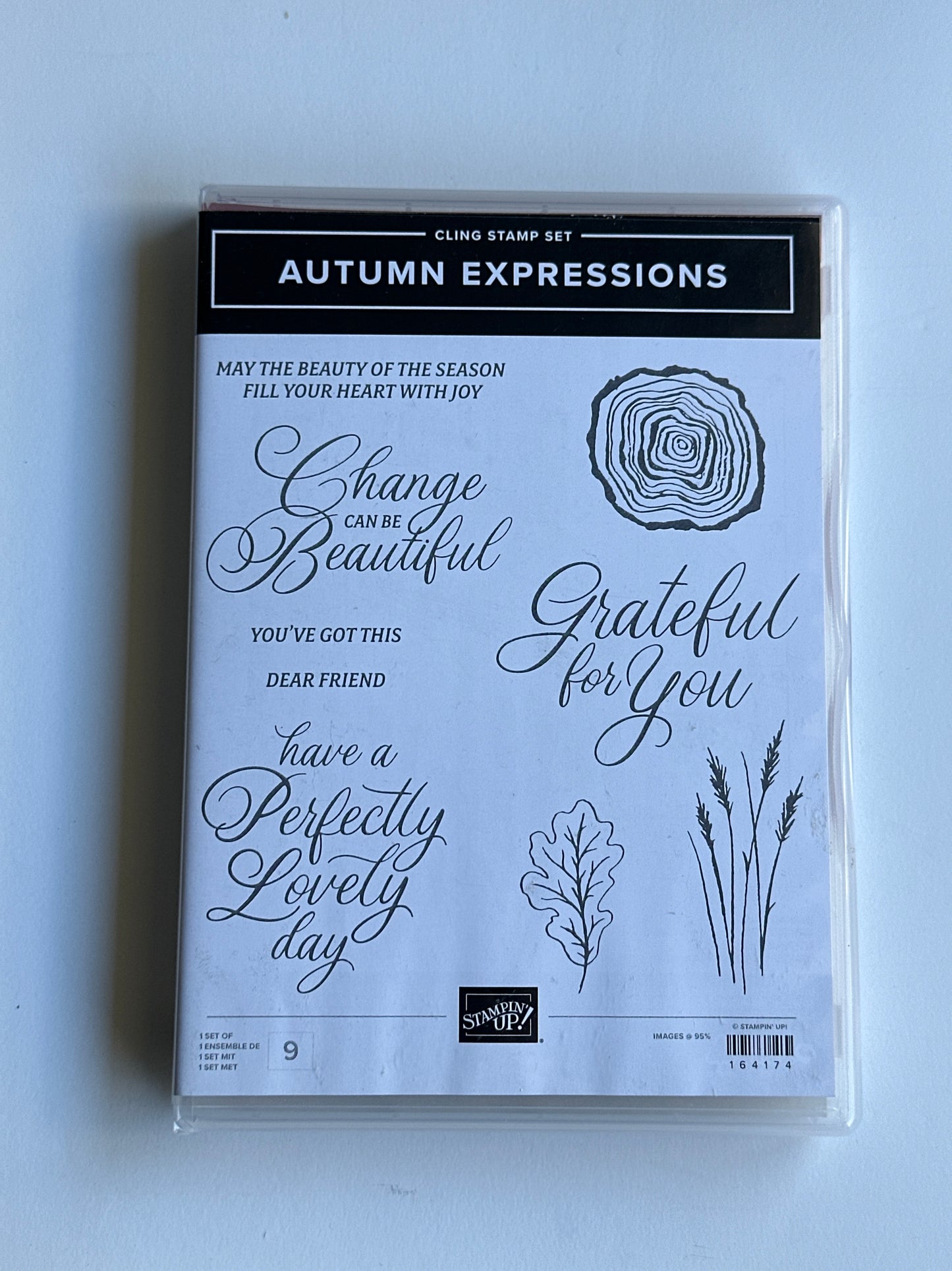 Autumn Expressions | Retired Cling Mount Stamp Set | Stampin' Up!