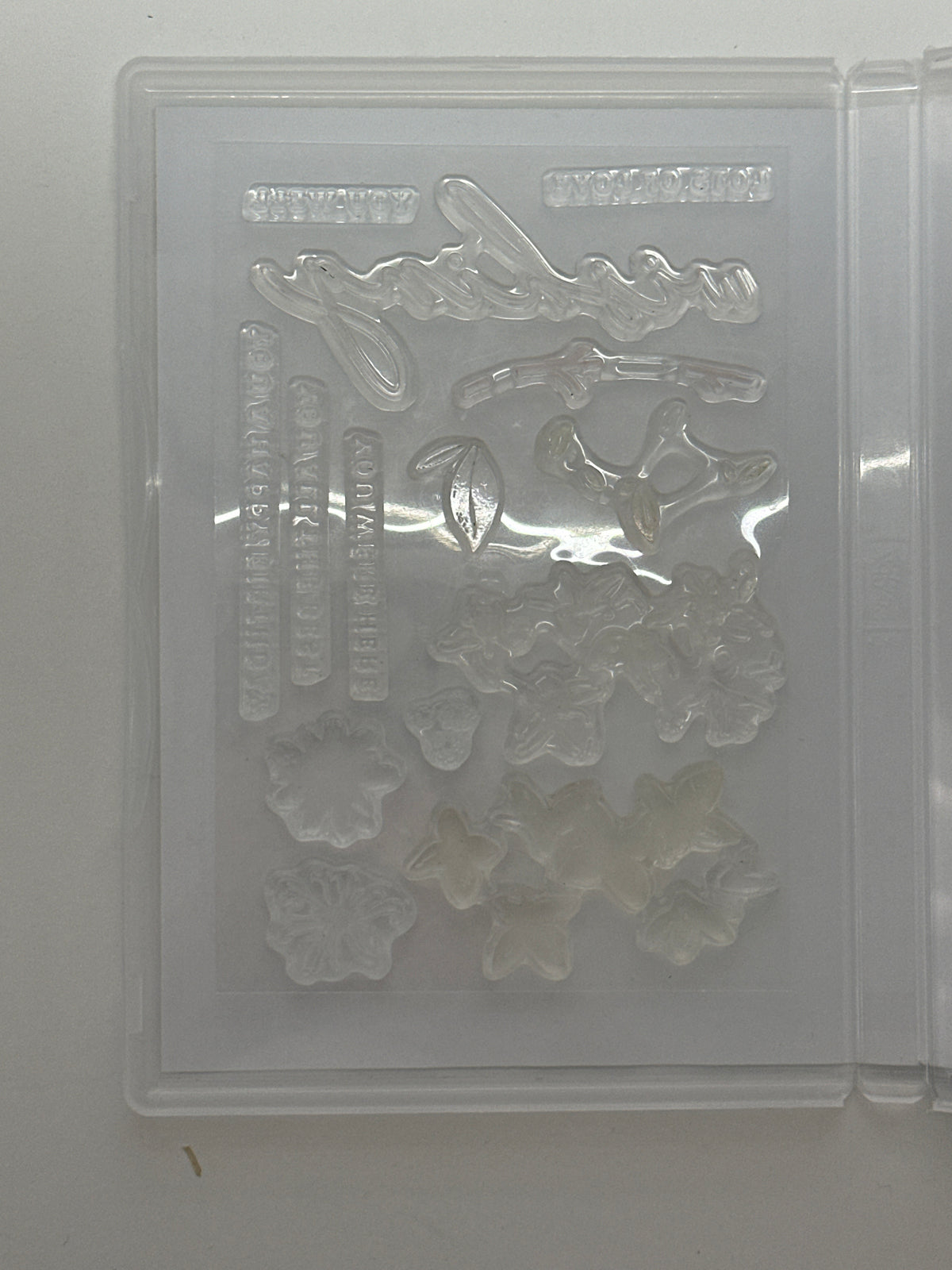 Delightful Wishes Bundle | Retired Photopolymer Mount Stamp Set and Dies | Stampin' Up!