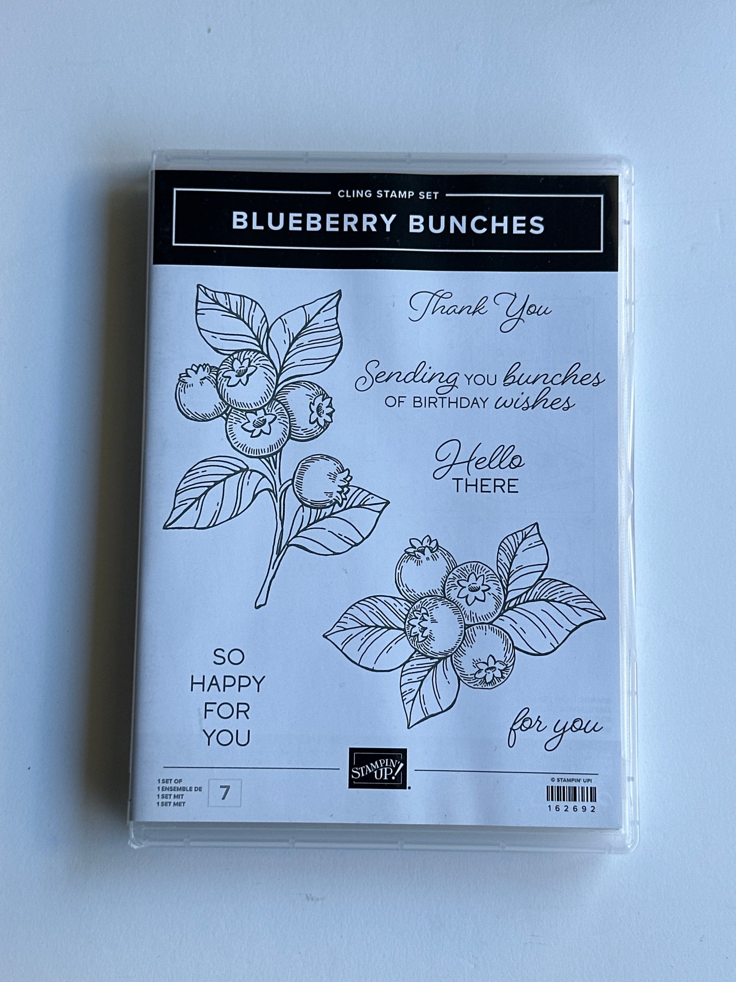 Blueberry Bunches | Retired Cling Mount Stamp Set | Stampin' Up!