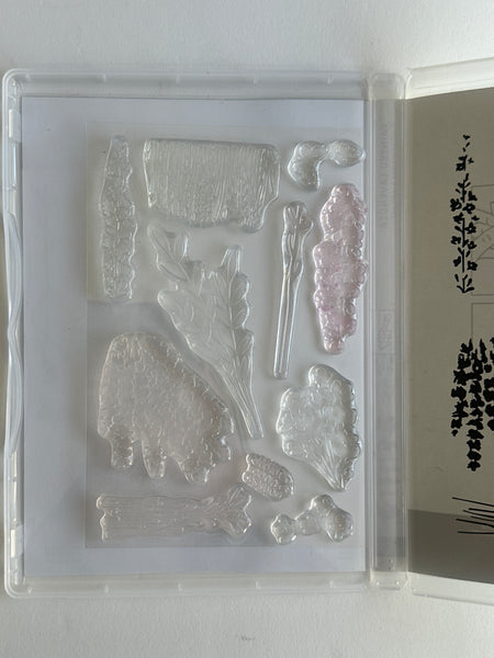 Painted Lavender Bundle| Retired Photopolymer Stamp Set and Dies | Stampin' Up!