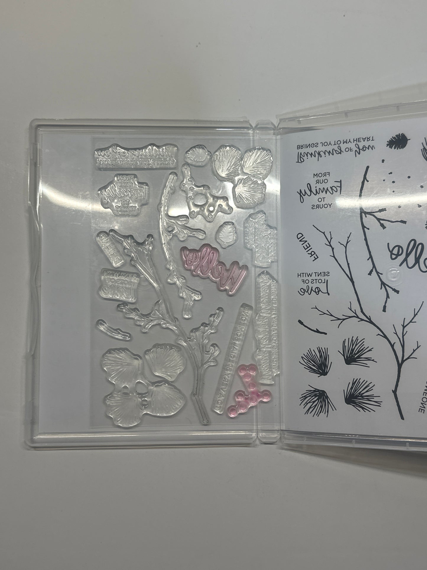 Branching Out | Retired Photopolymer Stamp Set | Stampin' Up!