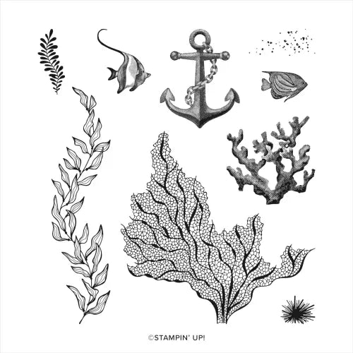 Beauty of the Deep Bundle | Retired Cling Mount Stamp Set and Dies | Stampin' Up!