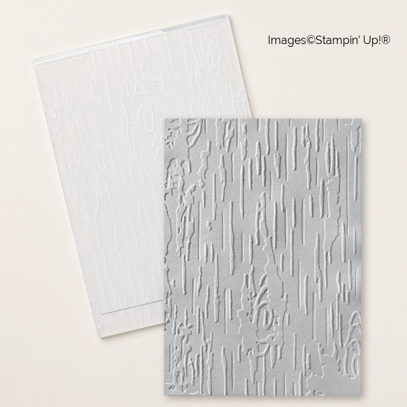 Birch Wood 3D Embossing Folder | Retired Embossing Folder | Stampin' Up!