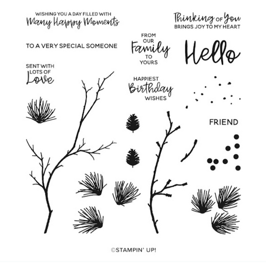 Branching Out | Retired Photopolymer Stamp Set | Stampin' Up!