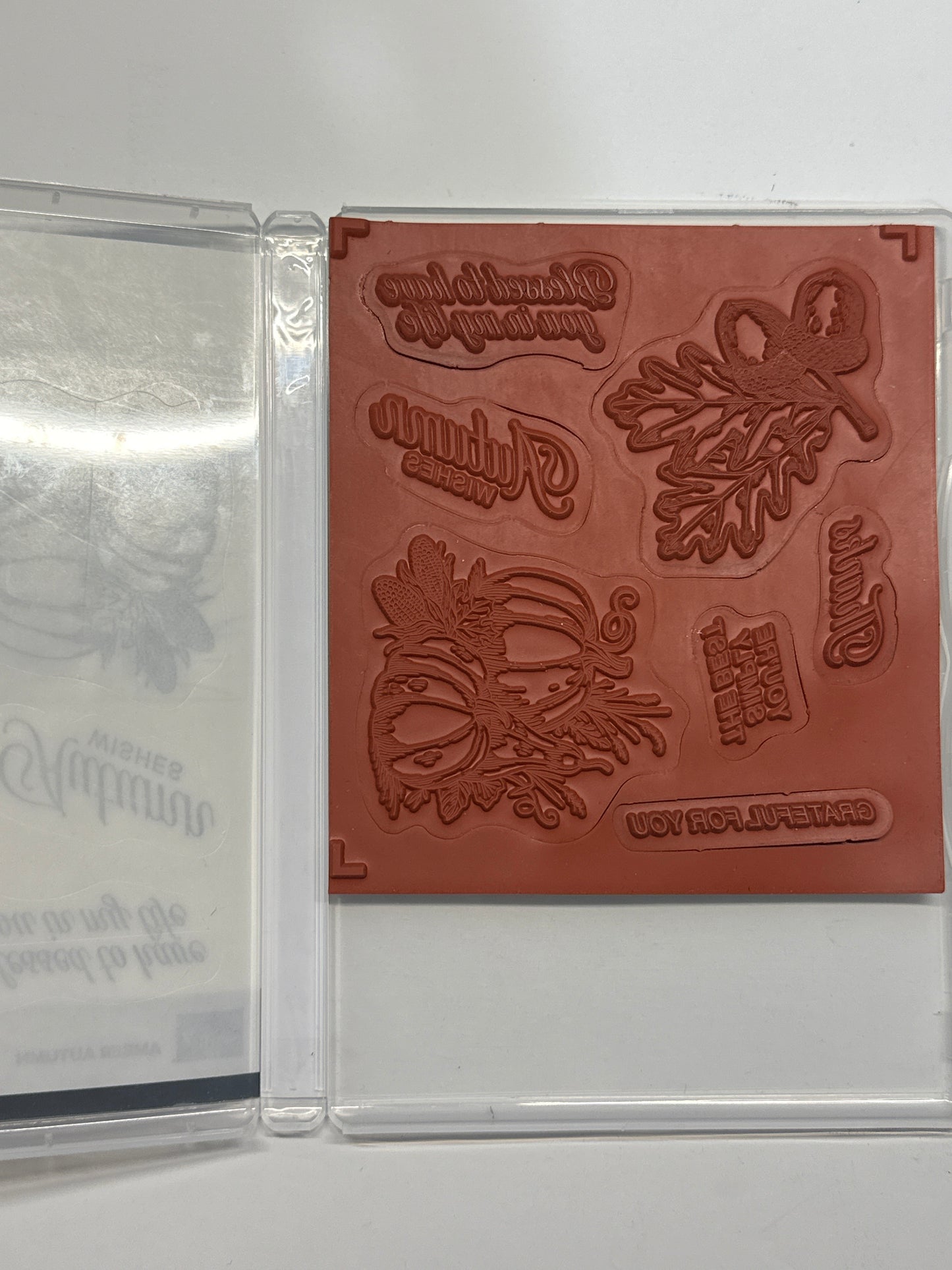 Amber Autumn Bundle | Retired Cling Mount Stamp Set and Dies | Stampin' Up!