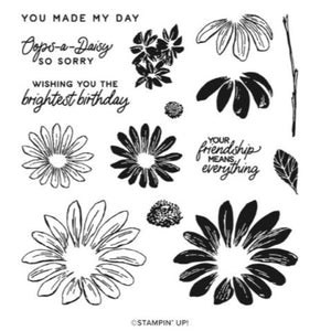 Cheerful Daisies Bundle | Retired Photopolymer Stamp Set | Stampin' Up!