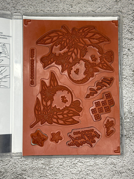 Citrus Blooms Bundle | Retired Cling Mount Stamp Set and Dies | Stampin' Up!