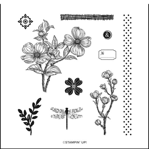 Detailed Dogwood | BRAND NEW, Never Used | Retired Cling Mount Stamp Set | Stampin' Up!