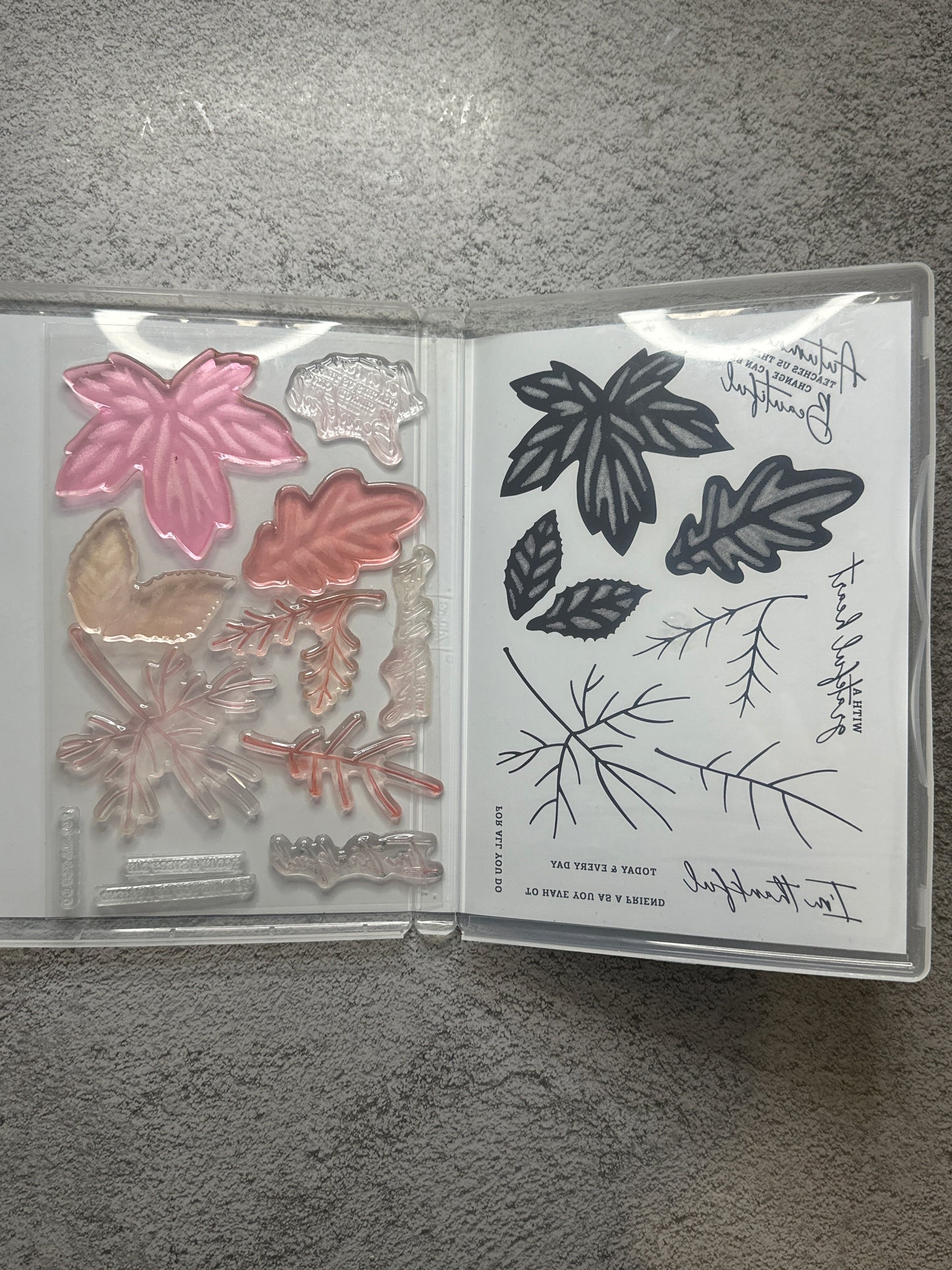 Autumn Leaves Bundle | Retired Photopolymer Mount Stamp Set and Dies | Stampin' Up!