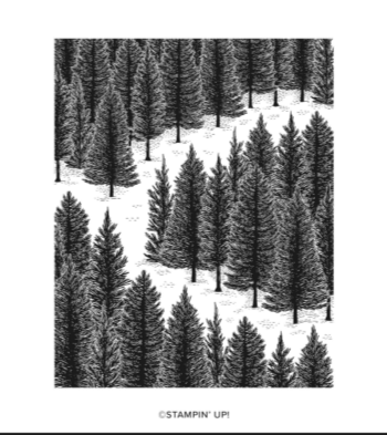 Fragrant Forest | Retired Cling Mount Stamp Set | Stampin' Up!