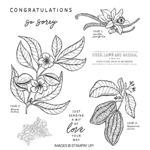 Lovely & Sweet Bundle | Retired Cling Mount Stamp Set and Dies | Stampin' Up!