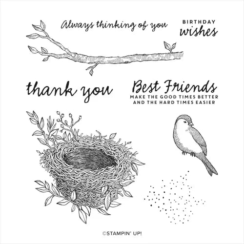 Nested Friends Bundle | Retired Cling Mount Stamp Set | BRAND NEW, NEVER USED | Stampin' Up!