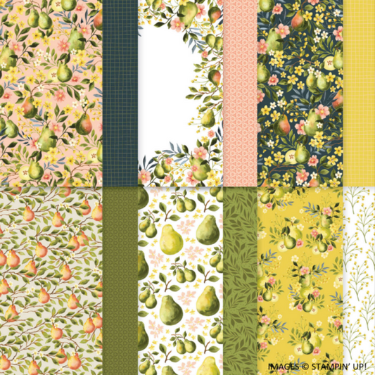Painterly Pears | 12x12 DSP | Retired | Full Packet | Stampin' Up!