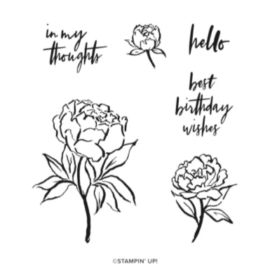 Poised Peony | Retired Cling Mount Stamp Set | Stampin' Up!