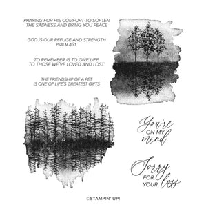 Quiet Reflection | Retired Cling Mount Stamp Set | Stampin' Up!