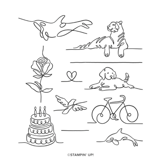 Along These Lines | Retired Photopolymer Stamp Set | Stampin' Up!