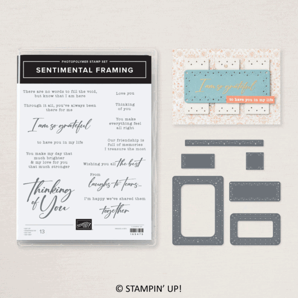 Sentimental Framing Bundle | Retired Photopolymer Mount Stamp Set and Dies | Stampin' Up!