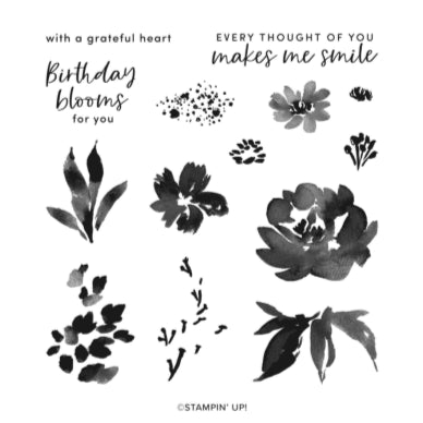 Textured Floral Bundle | Retired Photopolymer Mount Stamp Set and Dies | Stampin' Up!