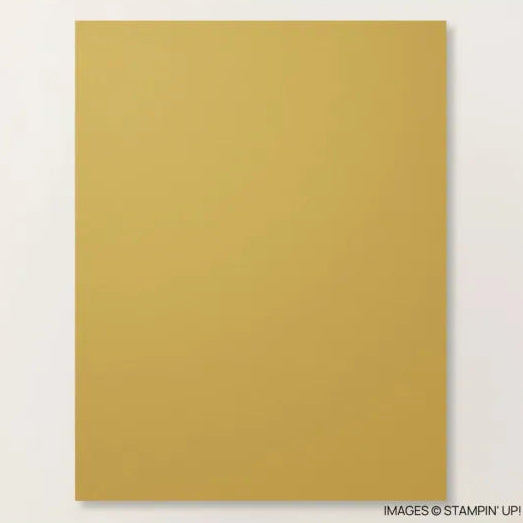 A4 Cardstock | Wild Wheat | Retired | 10 sheets | Stampin' Up!