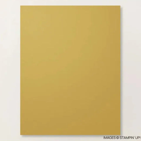 A4 Cardstock | Wild Wheat | Retired | 10 sheets | Stampin' Up!