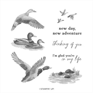 Feathered Flight | Retired Cling Mount Stamp Set | Stampin' Up!