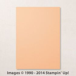 A4 Cardstock | Pale Papaya | Retired | Brand New, Unopened | Stampin' Up!