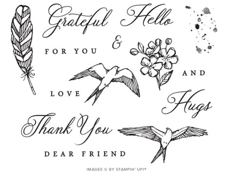 Hugs From Shelli | Paper Pumpkin Stamp Set | Photopolymer Stamp Set | Stampin' Up!