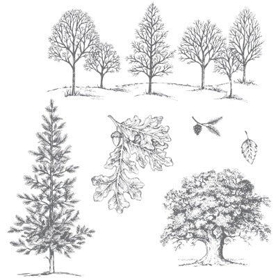 Lovely as a Tree | Retired Wood Mount Stamp Set | Stampin' Up!