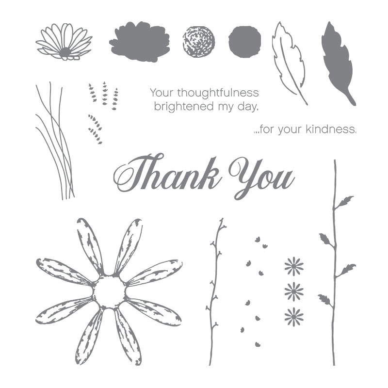 Daisy Delight | Retired Photopolymer Stamp Set | Stampin' Up!