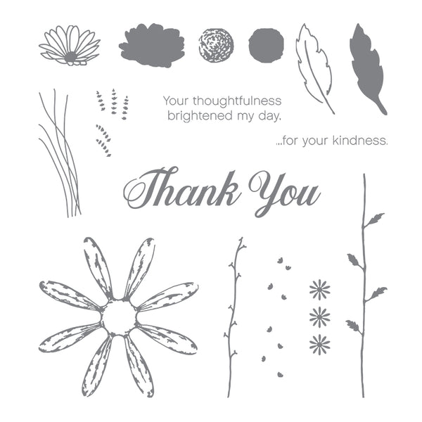 Daisy Delight | Retired Photopolymer Stamp Set | Stampin' Up!