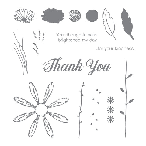 Daisy Delight | Retired Photopolymer Stamp Set | Stampin' Up!