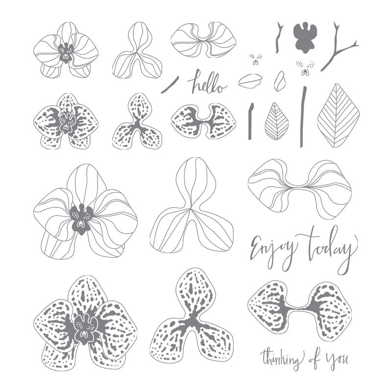 Climbing Orchid | Retired Photopolymer Stamp Set | Stampin' Up!