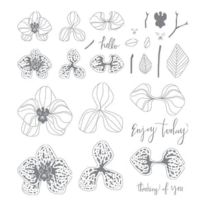 Climbing Orchid | Retired Photopolymer Stamp Set | Stampin' Up!