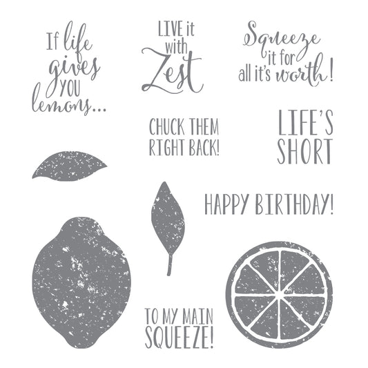 Lemon Zest | Retired Clear Mount Stamp Set | Stampin' Up!