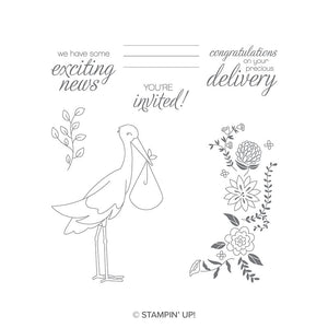 Precious Delivery | Retired Clear Mount Stamp Set | Stampin' Up!