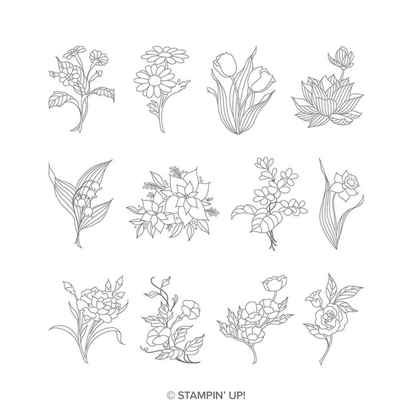 In Every Season | Retired Clear Mount Stamp Set | Stampin' Up!