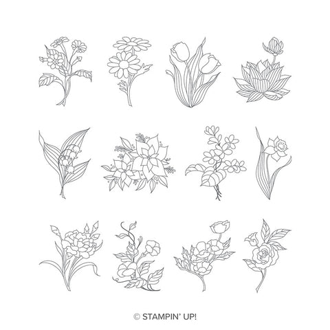 In Every Season | Retired Clear Mount Stamp Set | Stampin' Up!