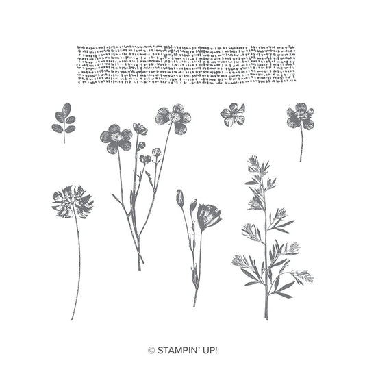 Pressed Flowers | Retired Clear Mount Stamp Set | Stampin' Up!