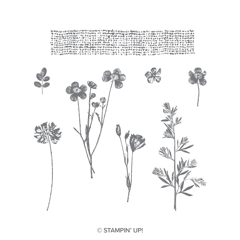 Pressed Flowers | Retired Clear Mount Stamp Set | Stampin' Up!